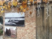 My Gallery (2/11)